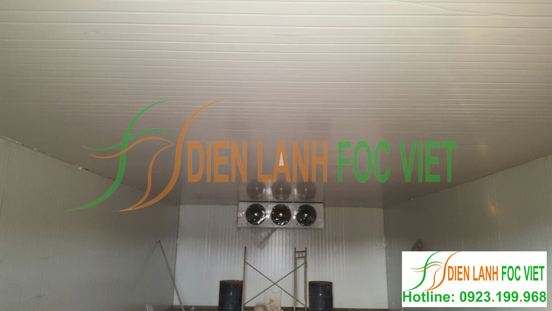 lắp đặt kho lạnh nông sản