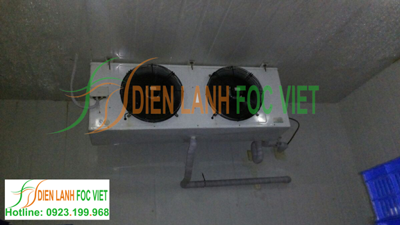 lắp đặt kho lạnh thủy sản