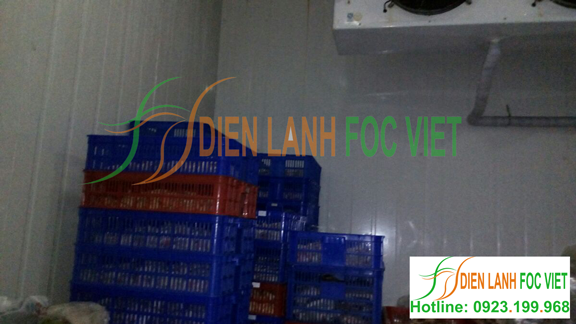 lắp đặt kho lạnh thủy sản