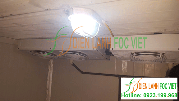 lắp đặt kho lạnh vacxin