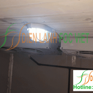 lap-dat-kho-lanh-tai-hung-yen-2 lắp đặt kho lạnh dược phẩm