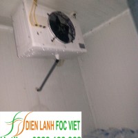 lắp đặt kho lạnh bảo quản đá viên