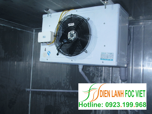 kho lạnh bảo quản sữa