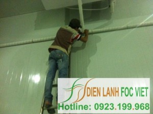 Lắp đặt kho lạnh bảo quản nông sản tại các doanh nghiệp Lắp đặt kho lạnh bảo quản nông sản tại các doanh nghiệp