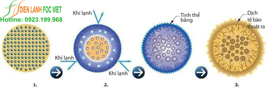 kho lạnh bảo quản nông sản