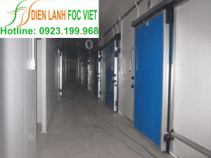 Dịch vụ sửa chữa kho lạnh chuyên nghiệp Dịch vụ sửa chữa kho lạnh chuyên nghiệp