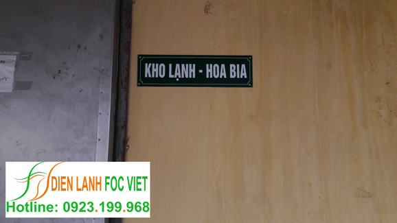 lắp đặt kho lạnh bảo quản bia