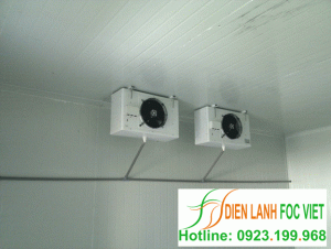 Lắp đặt kho lạnh bảo quản gạo Lắp đặt kho lạnh bảo quản gạo