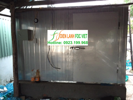 kho lạnh bảo quản mực