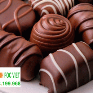 kho-lanh-bao-quan-socola-2 kho lạnh bảo quản socola