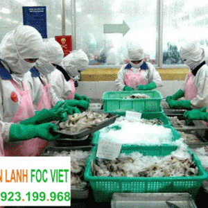 kho-lanh-bao-quan-tom-4 kho lạnh bảo quản tôm