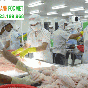 lắp đặt kho lạnh bảo quản cá