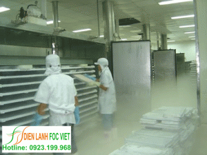 Lắp đặt kho lạnh bảo quản mực Lắp đặt kho lạnh bảo quản mực