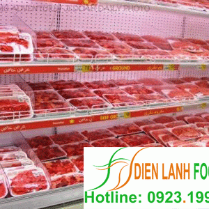 lap-dat-kho-lanh-bao-quan-thit-2 lắp đặt kho lạnh bảo quản thịt