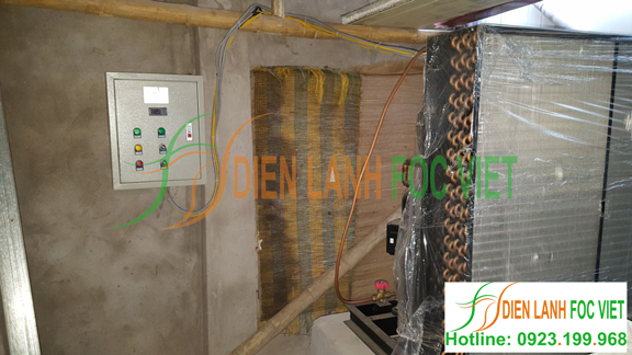 kho lạnh bảo quản nấm