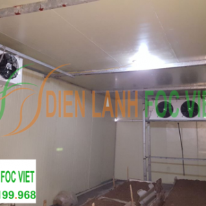 lap-dat-nha-lanh-nuoi-trong-nam-4 kho lạnh bảo quản nấm