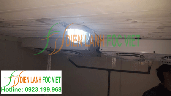 lắp đặt kho lạnh bảo quản thuốc