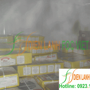 kho-cap-dong-thit-3 kho cấp đông thịt