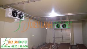 Lắp đặt nhà lạnh nuôi trồng nấm tại Bắc Ninh Lắp đặt nhà lạnh nuôi trồng nấm tại Bắc Ninh