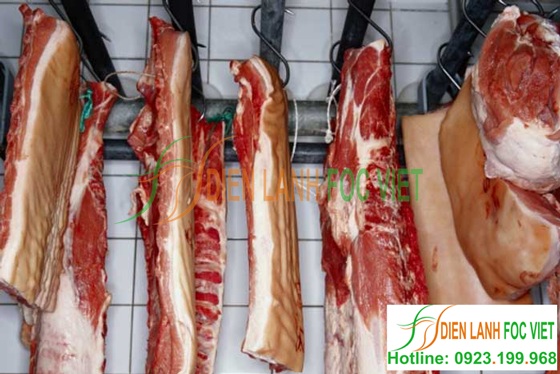 Lắp kho lạnh bảo quản thịt lợn