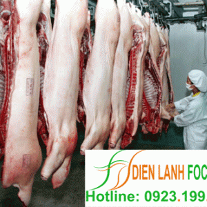 lap-kho-lanh-bao-quan-thit-lon-3 Lắp kho lạnh bảo quản thịt lợn