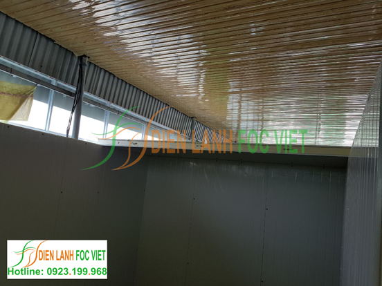 lắp đặt kho cấp đông tảo