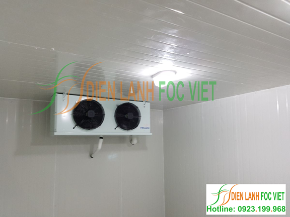 lắp đặt kho cấp đông tảo