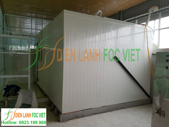 lắp đặt kho cấp đông tảo