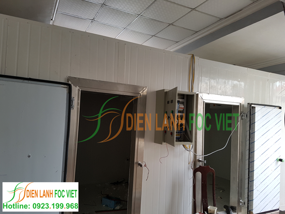 lắp đặt kho đông kho mát bảo quản trái cây